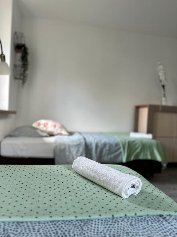 Apartament Deluxe z widokiem na ogród